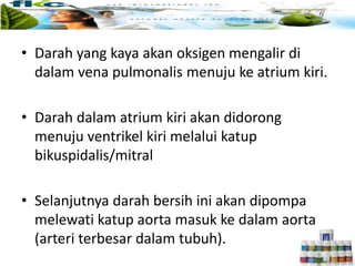 • Darah yang kaya akan oksigen mengalir di
dalam vena pulmonalis menuju ke atrium kiri.
• Darah dalam atrium kiri akan didorong
menuju ventrikel kiri melalui katup
bikuspidalis/mitral
• Selanjutnya darah bersih ini akan dipompa
melewati katup aorta masuk ke dalam aorta
(arteri terbesar dalam tubuh).
 
