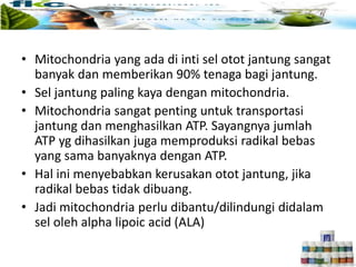Cara kerja…………………………
• Mitochondria yang ada di inti sel otot jantung sangat
banyak dan memberikan 90% tenaga bagi jantung.
• Sel jantung paling kaya dengan mitochondria.
• Mitochondria sangat penting untuk transportasi
jantung dan menghasilkan ATP. Sayangnya jumlah
ATP yg dihasilkan juga memproduksi radikal bebas
yang sama banyaknya dengan ATP.
• Hal ini menyebabkan kerusakan otot jantung, jika
radikal bebas tidak dibuang.
• Jadi mitochondria perlu dibantu/dilindungi didalam
sel oleh alpha lipoic acid (ALA)
 