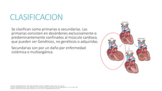 CLASIFICACION
Se clasifican como primarias o secundarias. Las
primarias consisten en desórdenes exclusivamente o
predominantemente confinados al músculo cardíaco,
que pueden ser Genéticos, no genéticos o adquiridas.
Secundarias son por un daño por enfermedad
sistémica o multiorgánica.
 