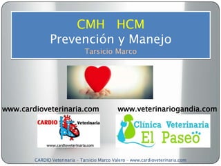 CMH HCM
               Prevención y Manejo
                               Tarsicio Marco




www.cardioveterinaria.com                     www.veterinariogandia.com




        CARDIO Veterinaria - Tarsicio Marco Valero – www.cardioveterinaria.com
 
