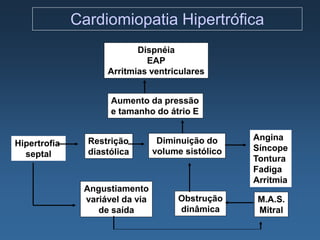 Cardiomiopatia Hipertrófica
                           Dispnéia
                             EAP
                    Arritmias ventriculares


                     Aumento da pressão
                     e tamanho do átrio E


                Restrição         Diminuição do     Angina
Hipertrofia
                diastólica       volume sistólico   Síncope
  septal
                                                    Tontura
                                                    Fadiga
                                                    Arritmia
               Angustiamento
               variável da via        Obstrução      M.A.S.
                  de saída            dinâmica       Mitral
 