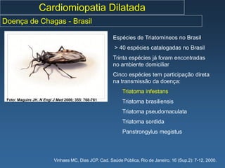 Cardiomiopatia Dilatada
Doença de Chagas - Brasil

                                                       Espécies de Triatomíneos no Brasil
                                                        > 40 espécies catalogadas no Brasil
                                                       Trinta espécies já foram encontradas
                                                       no ambiente domiciliar
                                                       Cinco espécies tem participação direta
                                                       na transmissão da doença:
                                                            Triatoma infestans
 Foto: Maguire JH. N Engl J Med 2006; 355: 760-761
                                                            Triatoma brasiliensis
                                                            Triatoma pseudomaculata
                                                            Triatoma sordida
                                                            Panstrongylus megistus




                          Vinhaes MC, Dias JCP. Cad. Saúde Pública, Rio de Janeiro, 16 (Sup.2): 7-12, 2000.
 
