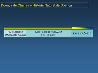 Doença de Chagas – História Natural da Doença




    FASE AGUDA         FASE INDETERMINADA
                                                FASE CRÔNICA
  (Miocardite Aguda)       ( 10- 30 anos)
 