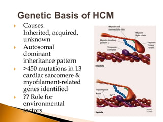    Causes:
    Inherited, acquired,
    unknown
   Autosomal
    dominant
    inheritance pattern
   >450 mutations in 13
    cardiac sarcomere &
    myofilament-related
    genes identified
   ?? Role for
    environmental
    factors
 