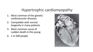 Hypertrophic cardiomyopathy
1. Most common of the genetic
cardiovascular diseases
2. Compatible with normal
longevity in many patients
3. Most common cause of
sudden death in the young
4. 1 in 500 people
 