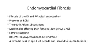 Endomyocardial Fibrosis
• Fibrosis of the LV and RV apical endocardium
• Presents as RCM
• The south Asian subcontinent
• More males affected than females (23% versus 17%)
• Family clustering
• IDIOPATHIC /hypereosinophilic syndrome
• A bimodal peak in age :First decade and second to fourth decades
 