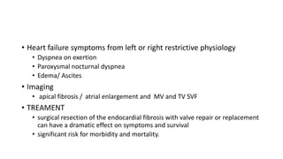 • Heart failure symptoms from left or right restrictive physiology
• Dyspnea on exertion
• Paroxysmal nocturnal dyspnea
• Edema/ Ascites
• Imaging
• apical fibrosis / atrial enlargement and MV and TV SVF
• TREAMENT
• surgical resection of the endocardial fibrosis with valve repair or replacement
can have a dramatic effect on symptoms and survival
• significant risk for morbidity and mortality.
 