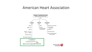 American Heart Association
 