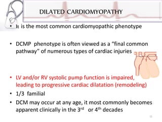 DILATED CARDIOMYOPATHY
• It is the most common cardiomyopathic phenotype
• DCMP phenotype is often viewed as a “final common
pathway” of numerous types of cardiac injuries
• LV and/or RV systolic pump function is impaired,
leading to progressive cardiac dilatation (remodeling)
• 1/3 familial
• DCM may occur at any age, it most commonly becomes
apparent clinically in the 3rd or 4th decades
11
 