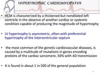 HYPERTROPHIC CARDIOMYOPATHY
• HCM is characterized by a thickened but nondilated left
ventricle in the absence of another cardiac or systemic
condition capable of producing the magnitude of hypertrophy
• LV hypertrophy is asymmetric, often with preferential
hypertrophy of the interventricular septum
• the most common of the genetic cardiovascular diseases, is
caused by a multitude of mutations in genes encoding
proteins of the cardiac sarcomere, 50% with AD transmission
• It is found in about 1 in 500 of the general population
18
 