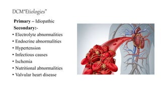 DCM“Etiologies”
Primary – Idiopathic
Secondary:-
• Electrolyte abnormalities
• Endocrine abnormalities
• Hypertension
• Infectious causes
• Ischemia
• Nutritional abnormalities
• Valvular heart disease
 