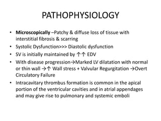 PATHOPHYSIOLOGY
• Microscopically –Patchy & diffuse loss of tissue with
interstitial fibrosis & scarring
• Systolic Dysfunction>>> Diastolic dysfunction
• SV is initially maintained by ↑↑ EDV
• With disease progression→Marked LV dilatation with normal
or thin wall →↑ Wall stress + Valvular Regurgitation →Overt
Circulatory Failure
• Intracavitary thrombus formation is common in the apical
portion of the ventricular cavities and in atrial appendages
and may give rise to pulmonary and systemic emboli
 
