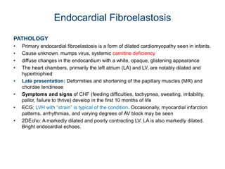 Endocardial Fibroelastosis
PATHOLOGY
• Primary endocardial fibroelastosis is a form of dilated cardiomyopathy seen in infants.
• Cause unknown. mumps virus, systemic carnitine deficiency
• diffuse changes in the endocardium with a white, opaque, glistening appearance
• The heart chambers, primarily the left atrium (LA) and LV, are notably dilated and
hypertrophied
• Late presentation: Deformities and shortening of the papillary muscles (MR) and
chordae tendineae
• Symptoms and signs of CHF (feeding difficulties, tachypnea, sweating, irritability,
pallor, failure to thrive) develop in the first 10 months of life
• ECG: LVH with “strain” is typical of the condition. Occasionally, myocardial infarction
patterns, arrhythmias, and varying degrees of AV block may be seen
• 2DEcho: A markedly dilated and poorly contracting LV, LA is also markedly dilated.
Bright endocardial echoes.
 