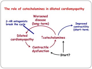 Dilated
cardiomyopathy
Worsened
disease
(long-term)
-AR antagonists
break the cycle
catecholamines
Contractile
dysfunction
Improved
contractility
(short-term)
Start?
The role of catecholamines in dilated cardiomyopathy
 