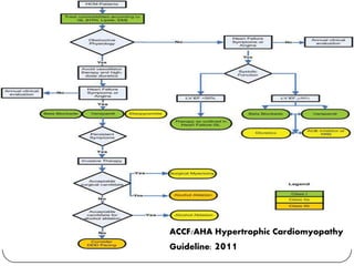 ACCF/AHA Hypertrophic Cardiomyopathy
Guideline: 2011
 