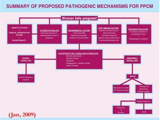 37 of 48
Unfavorable Cases of Cardiomyopathy
Young age (<30 years)
Family history of sudden death
Aborted sudden death
History of sustained SVT,AF,VT, 2’ or 3’ heart block
Syncopal attacks
Pacer and/or implanted defibrillator
Prohibited from participating in any exercise
Enlarged heart (CT >55%)
EF <40% and/or generalized mod/severe hypokinesis
CHF
Substantial hypertrophy (> 2cm)
(Jan, 2009)
 
