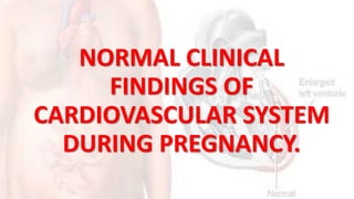 Cardiovascular Assessment During Pregnancy – YLEAV