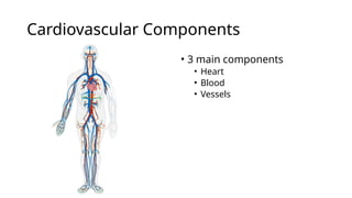 Cardiovascular Components Cardiovascular System Structure and Function Notes | PPTX
