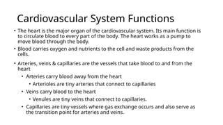 Cardiovascular System Structure and Function Notes | PPTX