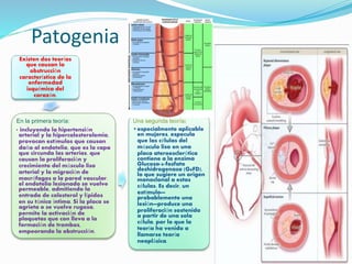 Patogenia
Existen dos teorías
que causan la
obstrucción
característica de la
enfermedad
isquémica del
corazón.
En la primera teoría:
• incluyendo la hipertensión
arterial y la hipercolesterolemia,
provocan estímulos que causan
daño al endotelio, que es la capa
que circunda las arterias. que
causan la proliferación y
crecimiento del músculo liso
arterial y la migración de
macrófagos a la pared vascular.
el endotelio lesionado se vuelve
permeable, admitiendo la
entrada de colesterol y lípidos
en su túnica íntima. Si la placa se
agrieta o se vuelve rugosa,
permite la activación de
plaquetas que con lleva a la
formación de trombos,
empeorando la obstrucción.
Una segunda teoría:
•especialmente aplicable
en mujeres, especula
que las células del
músculo liso en una
placa ateroesclerótica
contiene a la enzima
Glucosa-6-fosfato
deshidrogenasa (G6FD),
lo que sugiere un origen
monoclonal a estas
células. Es decir, un
estímulo—
probablemente una
lesión—produce una
proliferación sostenida
a partir de una sola
célula, por lo que la
teoría ha venido a
llamarse teoría
neoplásica.
 