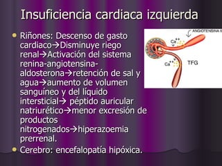 Insuficiencia cardiaca izquierda Riñones: Descenso de gasto cardiaco  Disminuye riego renal  Activación del sistema renina-angiotensina-aldosterona  retención de sal y agua  aumento de volumen sanguíneo y del líquido intersticial   péptido auricular natriurético  menor excresión de productos nitrogenados  hiperazoemia prerrenal. Cerebro: encefalopatía hipóxica. 