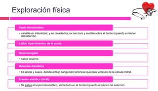 • variable en intensidad, y se caracteriza por ser duro y audible sobre el borde izquierdo e inferior
del esternón.
Soplo holosistólico
Latido hiperdinámico de la punta.
• casos severos
Hepatomegalia
• Es apical y suave, debido al flujo sanguíneo torrencial que pasa a través de la válvula mitral.
Retumbo diastólico
• Se palpa el soplo holosistólico, sobre todo en el borde izquierdo e inferior del esternón.
Frémito sistólico (thrill):
Exploración física
 