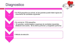Diagnostico
ECG
• En PCA pequeños es normal, en los grandes puede haber signos de
crecimiento de cavidades izquierdas.
Rx de Tórax
• Es normal en PCA pequeños.
• En grandes: cardiomegalia a expensas de cavidades izquierdas,
dilatación de la aorta, de la arteria pulmonar y congestión pulmonar.
Ecocardiograma
• Método de elección.
 