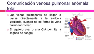 Comunicación venosa pulmonar anómala
total
 Las venas pulmonares no llegan a
unirse directamente a la aurícula
izquierda, cuando no se forma la vena
pulmonar común.
 El agujero oval o una CIA permite la
llegada de sangre
 