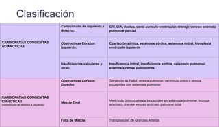 CARDIOPATIAS CONGENITAS
ACIANOTICAS
Cortocircuito de izquierda a
derecha:
CIV, CIA, ductus, canal aurículo-ventricular, drenaje venoso anómalo
pulmonar parcial
Obstructivas Corazón
Izquierdo:
Coartación aórtica, estenosis aórtica, estenosis mitral, hipoplasia
ventrículo izquierdo
Insuficiencias valvulares y
otras:
Insuficiencia mitral, insuficiencia aórtica, estenosis pulmonar,
estenosis ramas pulmonares
CARDIOPATIAS CONGENITAS
CIANOTICAS
(cortocircuito de derecha a izquierda)
Obstructivas Corazón
Derecho
Tetralogía de Fallot, atresia pulmonar, ventrículo único o atresia
tricuspídea con estenosis pulmonar
Mezcla Total
Ventrículo único o atresia tricuspídea sin estenosis pulmonar, truncus
arterioso, drenaje venoso anómalo pulmonar total
Falta de Mezcla Transposición de Grandes Arterias
Clasificación
 