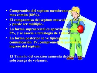 • Compromiso del septum membranoso, es el
  mas común (80%).
• El compromiso del septum muscular es de 10%
  y puede ser múltiple..
• La forma supracrestal es aproximadamente
  5%, y se asocia a tetralogía de Fallot. Victor
• La forma posterior se ve típicamente en
  comunicación IV, compromete la porción de
  ingreso del septum.

  El Tamaño del corazón aumenta debido a la
  sobrecarga de volumen.
 