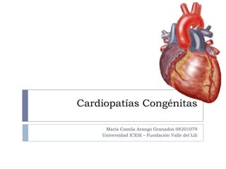 Cardiopatías Congénitas
María Camila Arango Granados 08201079
Universidad ICESI – Fundación Valle del Lili
 