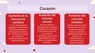 A poco de iniciada la
gestación, la frecuencia
cardíaca aumenta en
forma gradual hasta la
32 - 36ª semana y luego
se mantiene o
disminuye ligeramente
hasta el término.
Se inicia desde el
segundo mes y alcanza
su máximo entre la 28 y
la 32 semana (30 a 50
por ciento de
incremento), para volver
gradualmente a sus
valores normales hacia
el término.
Puesto que el aumento
del volumen minuto es
proporcionalmente
mayor que el de la
velocidad cardíaca, se
produce, en
consecuencia, un
incremento en el
volumen sistólico.
Corazón
Aumento de la
frecuencia
cardíaca
Aumento del
volumen
minuto
Aumento del
volumen
sistólico
 