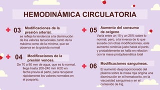 HEMODINÁMICA CIRCULATORIA
03
se refleja la tendencia a la disminución
de los valores tensionales, tanto de la
máxima como de la mínima, que se
observa en la grávida normal
04
De 70 a 80 mm de agua, que es lo normal,
llega hasta 200-240 mm H2O en
fecha previa al parto, para recuperar
rápidamente los valores normales en
el posparto.
Modificaciones de la
presión venosa.
Modificaciones de la
presión arterial. 05
Varía entre un 15 y un 25% sobre lo
normal, pero, a la inversa de lo que
sucede con otras modificaciones, este
aumento continúa justo hasta el parto,
y probablemente se halla en relación
con la masa protoplasmática total
06 El aumento desproporcionado del
plasma sobre la masa roja origina una
disminución en el hematocrito, en la
viscosidad sanguínea y en el
contenido de Hg.
Modificaciones sanguíneas.
Aumento del consumo
de oxígeno
 