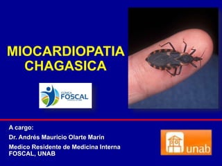 A cargo:
Dr. Andrés Mauricio Olarte Marín
Medico Residente de Medicina Interna
FOSCAL, UNAB
MIOCARDIOPATIA
CHAGASICA
 