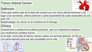 Tronco Arterial Común
Definición
Única gran arteria sale de la base del corazón por una única válvula semilunar y da
lugar a las coronarias, arteria pulmonar y aorta ascendente Se suele acompañar de una
gran CIV
Epidemiología: Es común en el síndrome de Di George.
Clínica
Cianosis leve y predomina la plétora pulmonar, pero sin tratamiento ocasiona
una insuficiencia cardiaca severa.
Si es total, como todo el retorno venoso vuelve a la aurícula derecha, la CIA es
una parte esencial para que sea compatible con la vida.
 