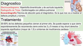Diagnostico
Electrocardiograma: Hipertrofia biventricular y de aurícula izquierda
Radiografía de Tórax: Cardiomegalia con plétora pulmonar
Ecocardiografía:Técnica de elección para el diagnóstico. Es la que nos va a mostrar el
defecto,amplitud y número.
Tratamiento
30-50% de los defectos pequeños cierran al primer año. Se puede esperar a que cierre
espontáneamente.Se recomienda cierre entre los 3 y 9 meses si hay shunt derecha-
izquierda significativo (mayor de 1.5) o síntomas de insuficiencia cardiaca
 