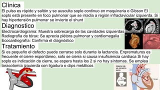 Clínica
El pulso es rápido y saltón y se ausculta soplo continuo en maquinaria o Gibson El
soplo está presente en foco pulmonar que se irradia a región infraclavicular izquierda. Si
hay hipertensión pulmonar se invierte el shunt
Diagnostico
Electrocardiograma: Muestra sobrecarga de las cavidades izquierdas
Radiografía de tórax: Se aprecia plétora pulmonar y cardiomegalia
Ecocardiografía: Confirma el diagnóstico
Tratamiento
Si es pequeño el defecto puede cerrarse solo durante la lactancia. Enprematuros es
frecuente el cierre espontáneo, solo se cierra si causa insuficiencia cardiaca Si hay
soplo es indicación de cierre, se espera hasta los 2 si no hay síntomas. Se emplea
toracotomía izquierda con ligadura o clips metálicos
 