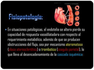  En situaciones patológicas, el endotelio se altera pierde su
  capacidad de respuesta vasodilatadora con respecto al
  requerimiento metabólico, además de que se producen
  obstrucciones del flujo, sea por mecanismo ateromatoso
  (placa aterosclerótica) o trombotico (coagulo parietal), lo
  que lleva al desencadenamiento de la cascada isquémica:
 