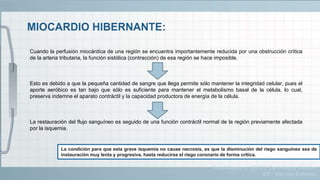 Cuando la perfusión miocárdica de una región se encuentra importantemente reducida por una obstrucción crítica
de la arteria tributaria, la función sistólica (contracción) de esa región se hace imposible.
Esto es debido a que la pequeña cantidad de sangre que llega permite sólo mantener la integridad celular, pues el
aporte aeróbico es tan bajo que sólo es suficiente para mantener el metabolismo basal de la célula, lo cual,
preserva indemne el aparato contráctil y la capacidad productora de energía de la célula.
La restauración del flujo sanguíneo es seguido de una función contráctil normal de la región previamente afectada
por la isquemia.
La condición para que esta grave isquemia no cause necrosis, es que la disminución del riego sanguíneo sea de
instauración muy lenta y progresiva, hasta reducirse el riego coronario de forma crítica.
Guadalajara, J. (2012). Cardiología. México,
D.F.: Méndez Editores.
 