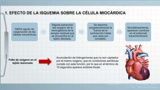 Guadalajara, J. (2012). Cardiología. México,
D.F.: Méndez Editores.
1. EFECTO DE LA ISQUEMIA SOBRE LA CÉLULA MIOCÁRDICA
Déficit agudo de
oxigenación de las
células miocárdicas
Rápida extracción
del oxígeno de la
hemoglobina de la
sangre residual que
se encuentra en el
tejido afectado.
Se deprime
progresivamente la
fuerza de la
contracción hasta
que cesa por
completo.
Simultáneamente,
aparecen cambios
en el potencial
transmembrana
Falta de oxígeno en el
tejido lesionado
Acumulación de hidrogeniones que no son captados
por el mismo oxígeno, que en condiciones aeróbicas
cumple con esta función, por lo que en el término de
10 segundos aparece acidosis tisular.
 