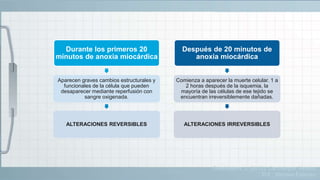 Durante los primeros 20
minutos de anoxia miocárdica
Aparecen graves cambios estructurales y
funcionales de la célula que pueden
desaparecer mediante reperfusión con
sangre oxigenada.
ALTERACIONES REVERSIBLES
Después de 20 minutos de
anoxia miocárdica
Comienza a aparecer la muerte celular. 1 a
2 horas después de la isquemia, la
mayoría de las células de ese tejido se
encuentran irreversiblemente dañadas.
ALTERACIONES IRREVERSIBLES
Guadalajara, J. (2012). Cardiología. México,
D.F.: Méndez Editores.
 
