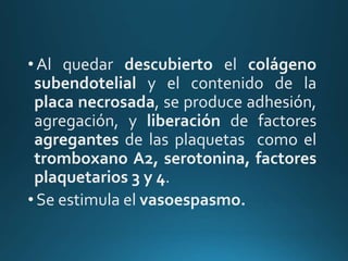 •Al quedar descubierto el colágeno
subendotelial y el contenido de la
placa necrosada, se produce adhesión,
agregación, y liberación de factores
agregantes de las plaquetas como el
tromboxano A2, serotonina, factores
plaquetarios 3 y 4.
•Se estimula el vasoespasmo.
 
