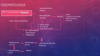 FISIOPATOLOGIA
HTP  cor pulmonale hipoxemia
Vasoconstricción
hipoxia
Remodelación
vascular
Fibrosis
• Intima
• > espesor de la media
• Muscularización
arteriolar
 Estrés celular
 ET, Ang, LGF
 Incp: sints PC y NO
< área vascular pulmonar
• Ac. respiratoria
hipercapnea
• Poliglobulia
> Resistencia Vascular
Pulmonar
Sobrecarga
de VD
Deterioro de
cav. izq
Hipoperfusión
renal
Edema
 