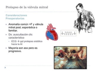 Prolapso de la válvula mitral

Consideraciones
Preoperatorias

   Anomalía común >F y válvula
    mitral post; esporádica o
    familiar.
   Dx: auscultación clic
    característico
       ECG  ppt prolapso sistólico
        hacia la AI
   Mayoría son asx pero es
    progresivo.
 