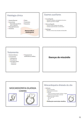 11
 Anemia discreta
 Leucocitose
 Neutrofiliacom desvio
para a esquerda
 Hiperglobulinemia
 Azotemia
 Piúria
 Proteinúria
 Hematúria
Patologia clínica
Hemocultura
Antibiograma
Exames auxiliares
 Ecocardiografia
 Alterações valvulares, principalmente da aórtica
 Aparência grosseira e irregular
 Eletrocardiografia
 Varia de normal a aumento das câmaras
 Arritmias supraventricular ou ventriculares
 Radiologia
 Eficiente em fases mais avançadas da endocardite
 Antimicrobianos
6 a 8 semanas
 Cefalosporina
 Cloranfenicol
 Aminoglicosídeos
 Gentamicina
 Tobramicina
 Tratamento da
insuficiência cardíaca
Tratamento
Doenças do miocárdio
MIOCARDIOPATIA DILATADA
CANINA
 Definição
 Doença miocárdica
 Degeneração dos miócitos
 Arritimias
 Tempo de enchimento diastólico reduzido e irregular
 Perda da sincronização atrial e ventricular
 Dilatação da câmara cardíaca
 AE, VE, AD e AE
 AE e VE
 VD
 Disfunção ventricular sistólica
Miocardiopatia dilatada do cão
 