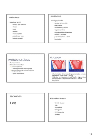 13
SINAIS CLÍNICOS
. Sinais leves de ICC
cansaço após exercício
síncope
tosse
dispneia
mucosas pálidas
pulso femoral fraco
efusões discretas
SINAIS CLÍNICOS
. Sinais graves de ICC
cansaço sem exercício
tosse intensa
ascite/edema pulmonar
caquexia cardíaca
mucosas pálidas ou cianóticas
dispneia e ortopneia
pulso femoral fraco e rápido
taquicardia
 Padrões normais
 Alterações inespecíficas
 Azotemia pré-renal
 Aumento dos níveis de ureia e creatinina
 Aumento discreto das enzimas hepáticas
 Fosfatase alcalina
 Alanina aminotrasferase
PATOLOGIA CLÍNICA
PATOLOGIA
Aumento das câmaras e adelgaçamento das paredes
Miocárdio pálido, mole e frouxo
Válvulas normais ou com modificações degenerativas
Histopatolgia- Degeneração, necrose e fibrose
do miócito
TRATAMENTO
5 D’s!
MONITORAR O PACIENTE
. Controle do peso
. ECG
. Radiografias
. Hemogramas
. Perfil bioquímico
. Urinálise
 