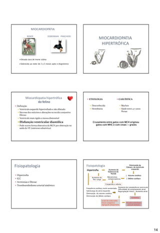 14
MIOCARDIOPATIA
BOXER DOBERMAN PINSCHERS
Elevada taxa de morte súbita
Sobrevida ao redor de 2 a 3 meses após o diagnóstico
MIOCARDIOPATIA
HIPERTRÓFICA
 Definição
 Ventrículo esquerdo hipertrofiadoe não dilatado
 Necrose dos miócitos e alterações no tecido conjuntivo
fibroso
 Ventrículo mais rígido e menos distensível
 Disfunção ventricular diastólica
 Pode ocorre formaobstrutiva da MCH por obstrução na
saída do VE (estenose subaórtica)
Miocardiopatia hipertrófica
do felino
 ETIOLOGIA
 Desconhecida
 Hereditária
 CASUÍSTICA
 Machos
 Idade entre 4-7 anos
Persas
Cruzamento entre gatos com MCH originou
gatos com MHC e com sinais + graves
 Hipertrofia
 ICC
 Arritimias e fibrose
 Tromboembolismo arterial sistêmico
Fisiopatologia Fisiopatologia
Hipertrofia Aumento da
Espessura da
Parede
Diminuição da
Câmara do ventrículo
esquerdo
Volume sistólico
Débito cardíaco
Mecanismos
compensatórios
Congestão e edema
Aumento da
Pós-carga
Frequência cardíaca muito aumentada
Sobrecarga do atrio esquerdo
Diminuição do volume sistólico
Diminuição do débito cardíaco
Aumento da complacência ventricular
Dificuldade de esvaziamento atrial
Regurgitação mitral / Aumento atrial
Lesão do endocárdio
Estase sanguínea
Agregação plaquetária
Tromboembolismo
arterial sistêmico
Arritimias
 
