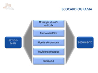 Morfología y función
ventricular
Función diastólica
Hipertensión pulmonar
Insuficiencia tricúspide
Tamaño A.I.
SEGUIMIENTO
ESTUDIO
BASAL
ECOCARDIOGRAMA
 