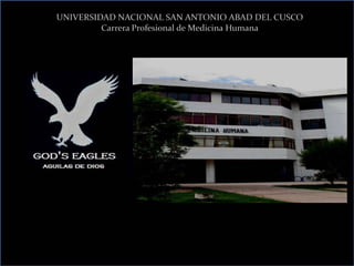 UNIVERSIDAD NACIONAL SAN ANTONIO ABAD DEL CUSCO
Carrera Profesional de Medicina Humana
 