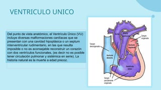 cardiopatias congenitas ppt (1)......pptx
